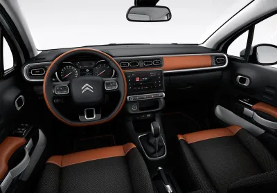 C4 Cactus